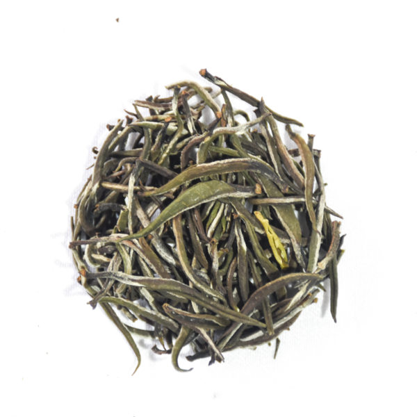 Silver Needle Tea